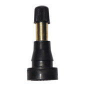 Transporter tubeless valves